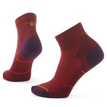 Women's Run Zero Cushion Ankle Socks by Smartwool in Pottsville PA