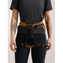 AR-385a Harness Women's by Arc'teryx in South Lake Tahoe CA