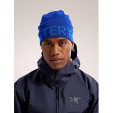 Word Head Toque by Arc'teryx