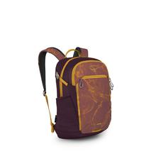 Axis 24 by Osprey Packs