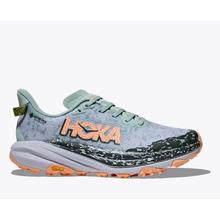 Women's Speedgoat 6 GTX by HOKA in Frederic WI