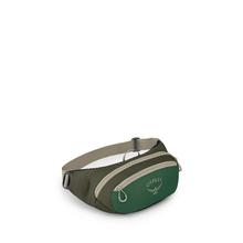 Daylite Waist Pack by Osprey Packs in Youngstown OH