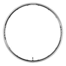 Rim Only For WH-6800 Clincher