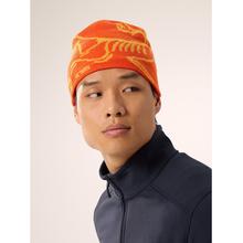 Bird Head Toque by Arc'teryx in Van Buren AR