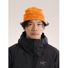 Bird Head Toque by Arc'teryx