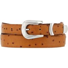 Ostrich Classic Belt by Brighton in Baldwin MI