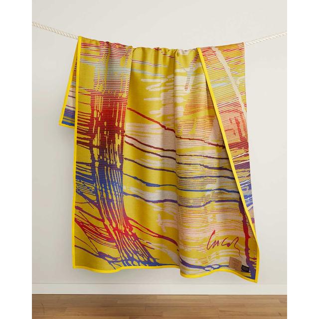 Pendleton - Chihuly Blanket #28 in Decatur IL