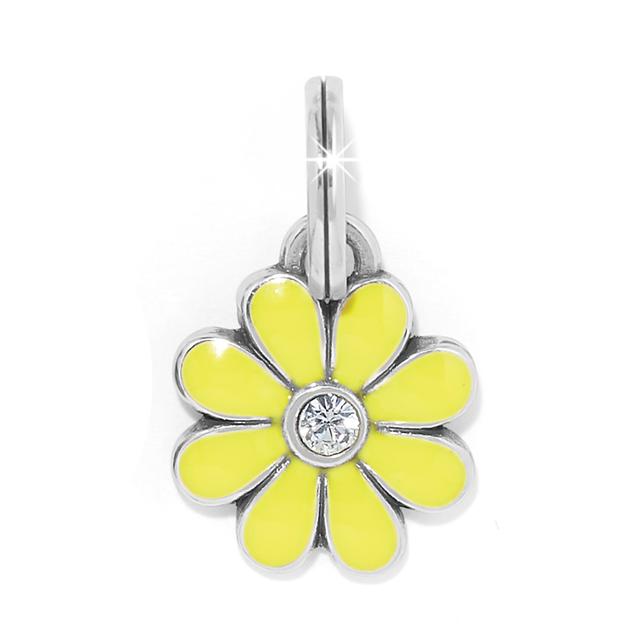 Brighton - Daisy Charm in San Diego TX