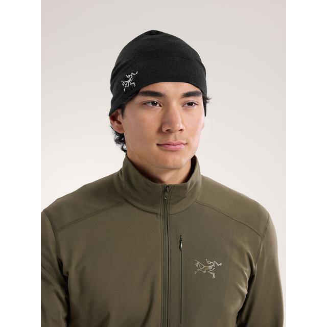 Arc'teryx - Rho Lightweight Wool Toque in Williamston MI