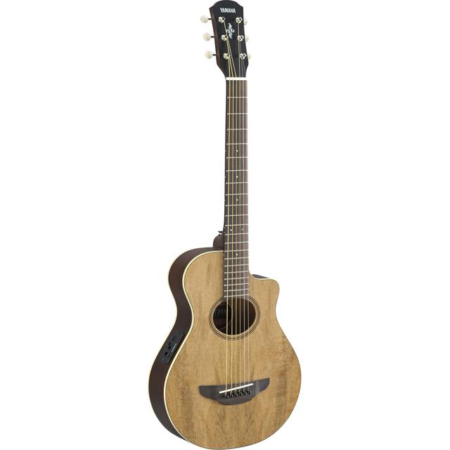 Yamaha Music - APXT2EW in Engadine MI