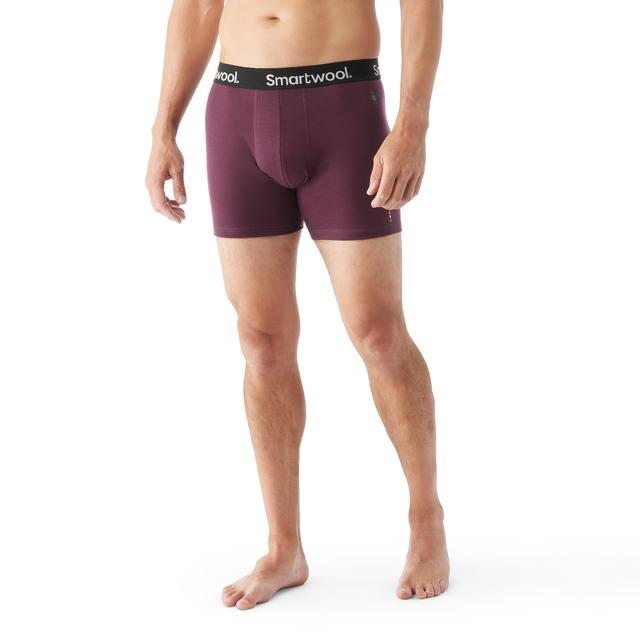 Smartwool - Men's Everyday Merino Boxer Brief in Raleigh NC