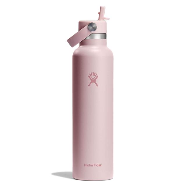 Hydro Flask - 24 oz Standard Mouth with Flex Straw Cap in Harbor Springs MI
