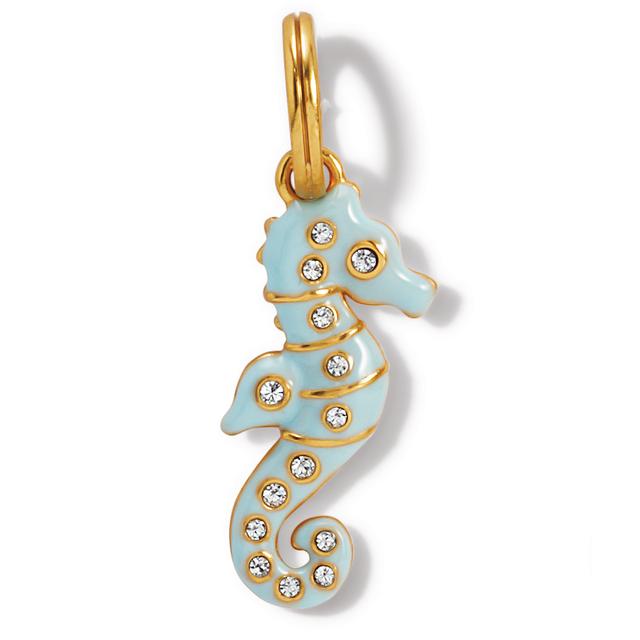 Brighton - Paradise Cove Seahorse Charm in Malvern AR