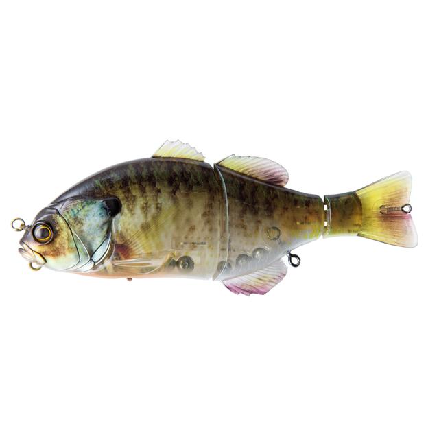 Shimano Fishing - Gantarel Rt Carp