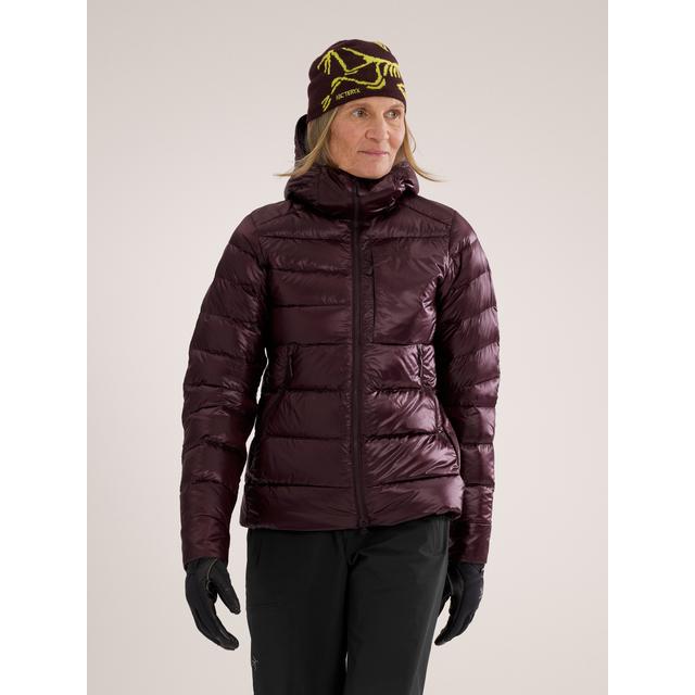 Arc'teryx - Cerium SV Hoody Women's in Fort Collins CO