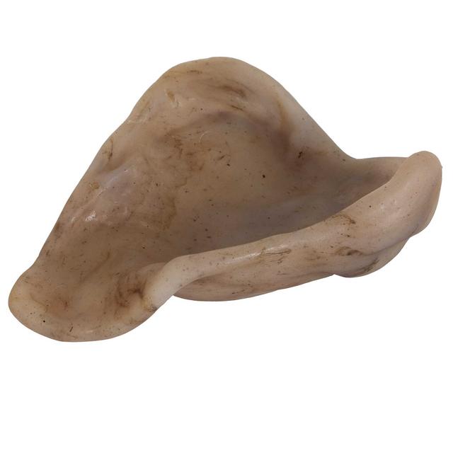 Petmate - BarkBone Natural Instincts Nylon Pig Ear in Laurinburg NC