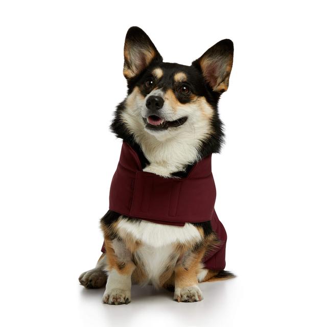 Ariat - Unisex Team Softshell Dog Jacket