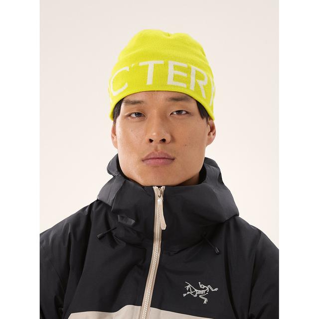 Arc'teryx - Word Head Toque in Gas City IN