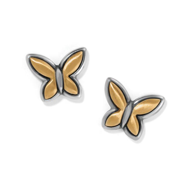 Brighton - Goldie Wings Mini Post Earrings in Alma MI