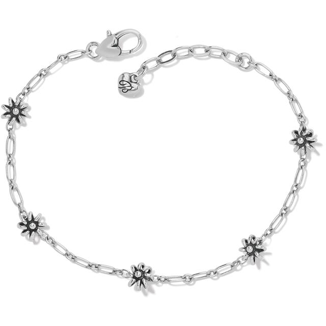 Brighton - Daisy Chain Anklet in Malvern AR