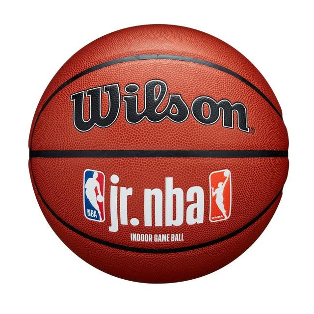 Wilson popular NBA Authentic Series Basketball