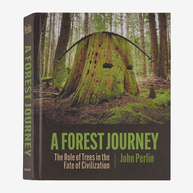 Patagonia - A Forest Journey: The Role of Trees in the Fate of Civilization (hardcover, published by Patagonia) in Sidney OH