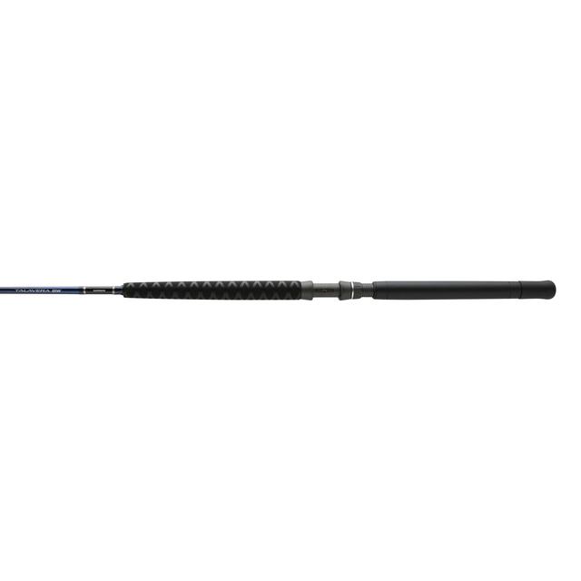 Shimano Fishing - Talavera Bluewater 66 H Ring Guide Slick Butt CST A in Manchester MO