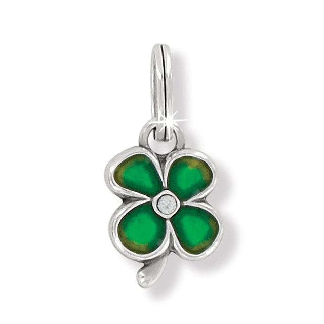 Brighton - Clover Charm in San Diego Texas