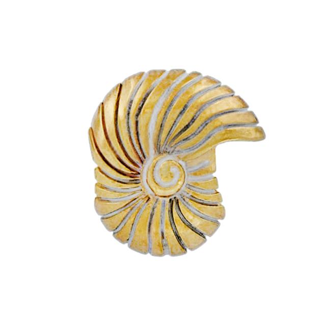 Brighton - Sea Shell Stopper Bead in Turlock CA