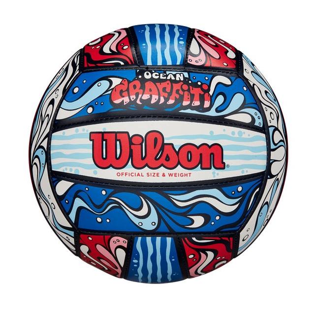 Wilson - Graffiti Volleyball in Pasadena CA