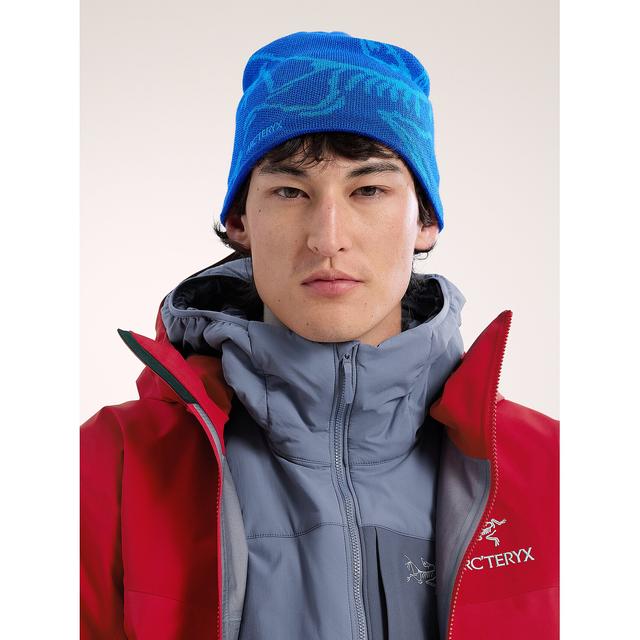 Arc'teryx - Bird Head Toque