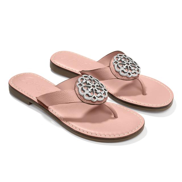 Brighton - Alice Color Sandals in Johnstown CO