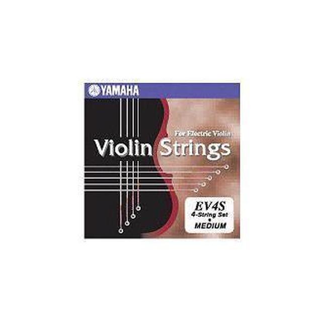 Yamaha Music - EVS-204 in Fair Lawn NJ