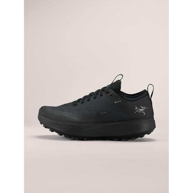 Arc'teryx - Sylan GTX Shoe Men's in Frederic WI