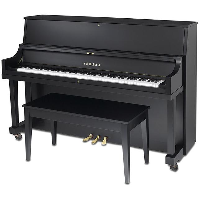 Yamaha Music - P22M SE in Rocky Hill CT