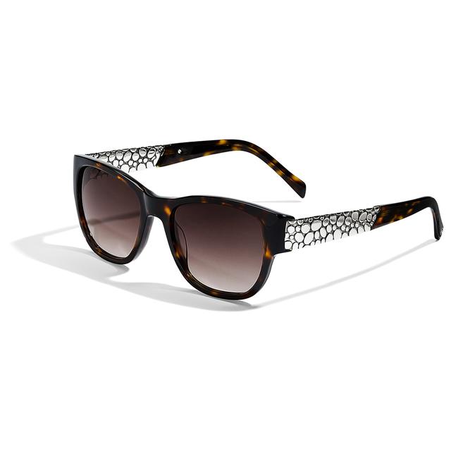 Brighton - Pebble Sunglasses