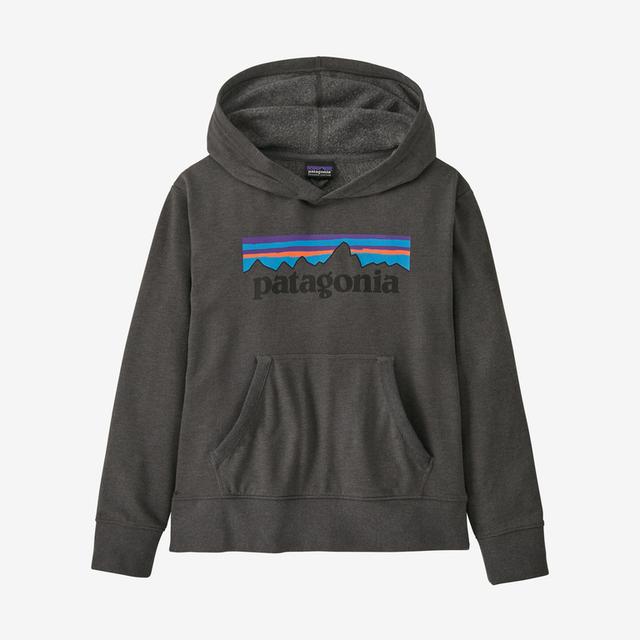 Patagonia - Kid's LW Graphic Hoody Sweatshirt in Durham NC