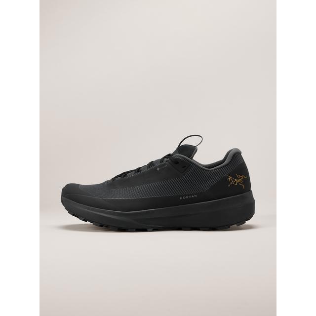 Arc'teryx - Norvan LD 4 GTX Shoe Men's in Frederic WI