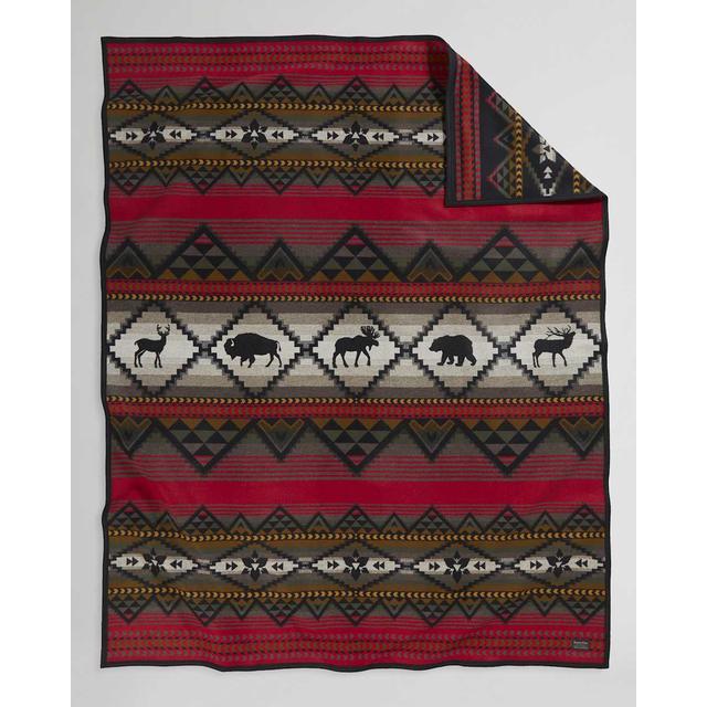 Pendleton - Lost Trail Blanket in smithfield-va
