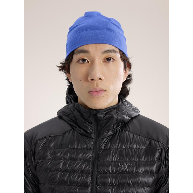 Arc'teryx / Rho Lightweight Wool Toque