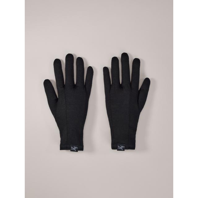 Arc'teryx - Gothic Glove in New Castle IN