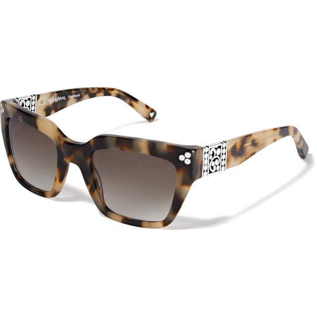 Brighton - Contempo Dot Sunglasses in West Manchester Township PA