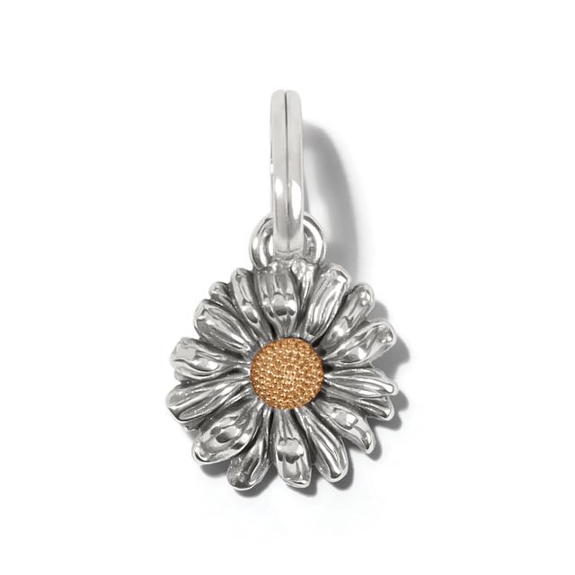 Brighton - Daisy Dee Charm in San Diego Texas