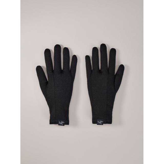 Arc'teryx - Gothic Glove in Pasadena CA