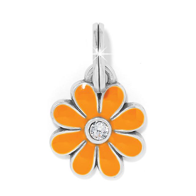 Brighton - Daisy Charm