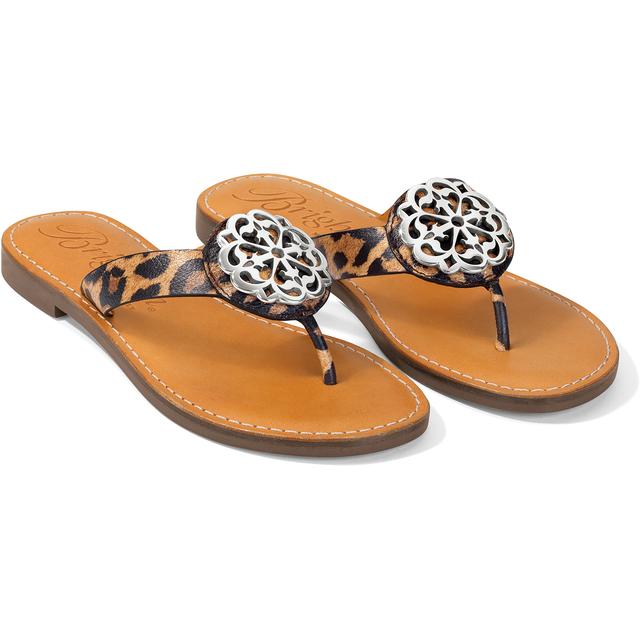 Brighton - Alice Print Sandals in San Diego TX