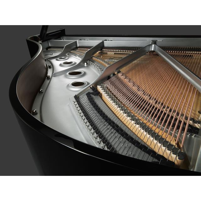 Yamaha Music - C2X PEC in Graettinger IA