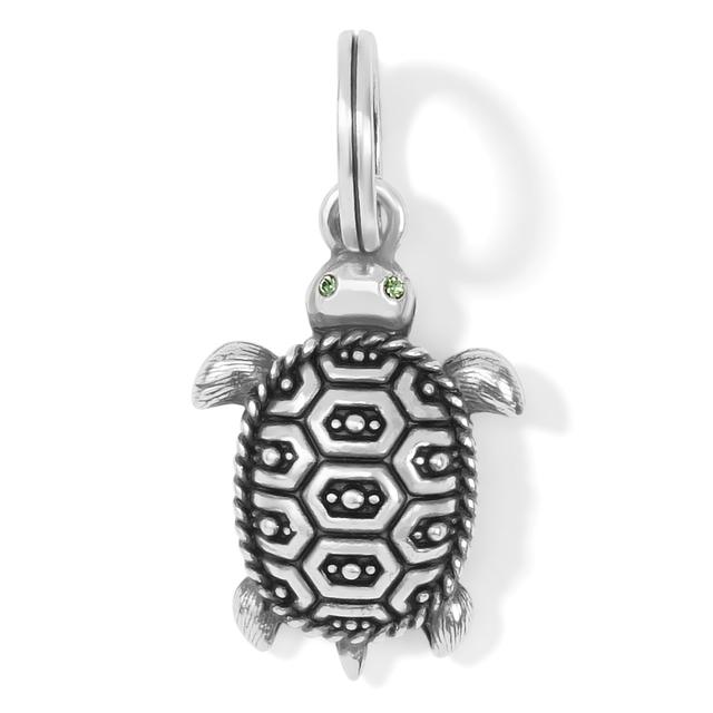 Brighton - Pismo Turtle Charm