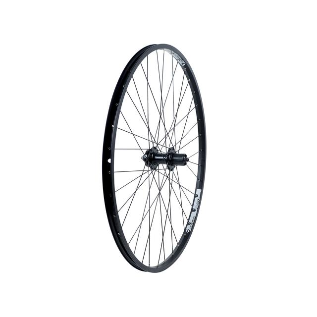 Trek - Bontrager AT-550 6-Bolt Disc 29" MTB Wheel in Mt Sterling KY