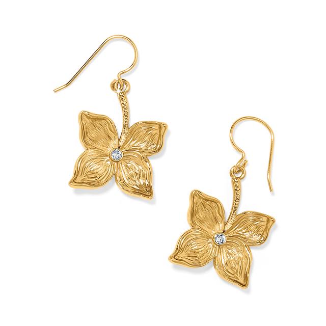 Brighton - Everbloom Flower French Wire Earrings in Alma-MI